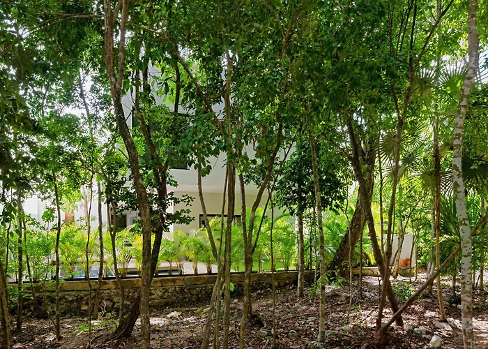 Lux Heated Pool And Cenote Access Hébergement de vacances Playa del Carmen