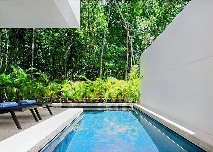 Lux Heated Pool And Cenote Access Hébergement de vacances Playa del Carmen