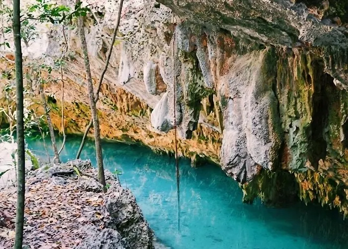 Lux Heated Pool And Cenote Access Hébergement de vacances *