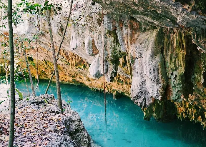 Lux Heated Pool And Cenote Access Playa del Carmen